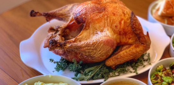 Sous Vide Whole Turkey – HolidayCooks.com